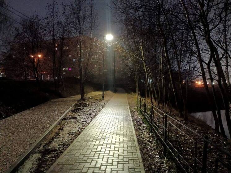 На Черезовских прудах в Рязани обустроили освещение
