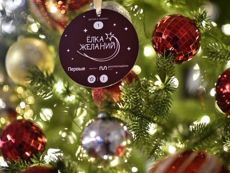 В Ярославле скоро установят «Елку желаний»