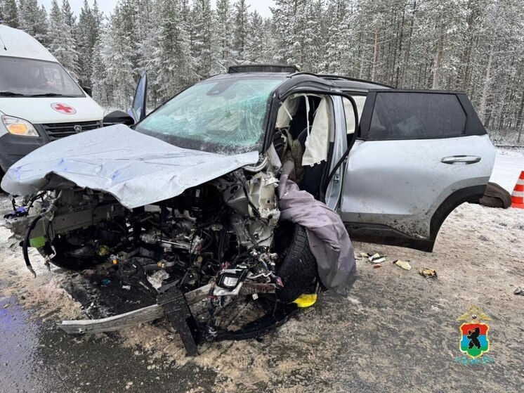 В страшной аварии в Карелии погибли водитель и пассажирка, жители Ленобласти