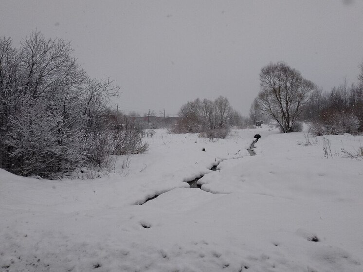Облачность, снег и гололед пообещали ленинградцам синоптики 22 ноября