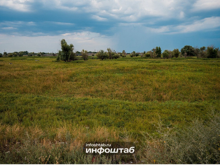 В Астраханской области завершилась уборочная кампания