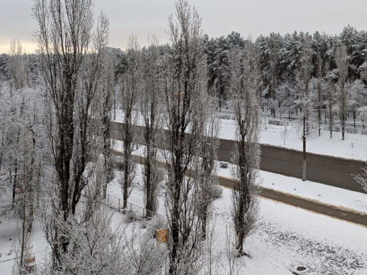 На следующей неделе Воронеж рискует превратиться в сплошной каток