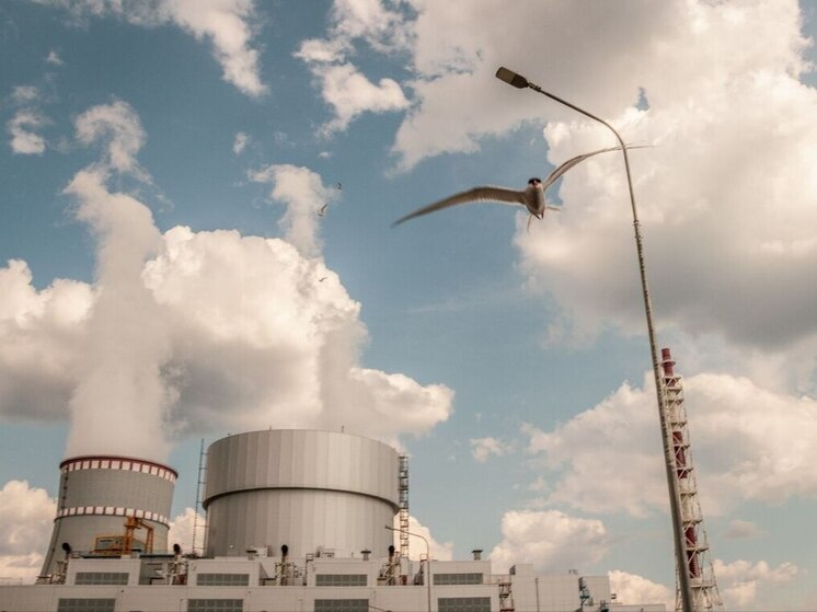 Первый и второй энергоблоки ЛАЭС-2 выработали 100 миллиардов киловатт-часов