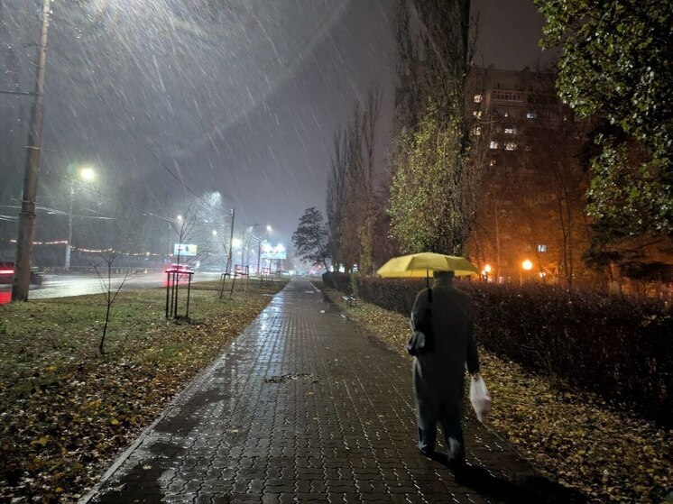 Теплые, но сырые выходные ожидают воронежцев