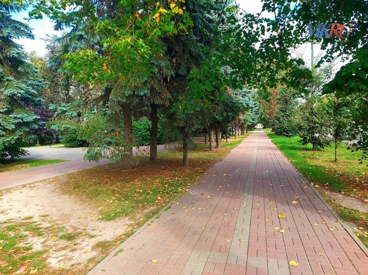 В центре Калуги перекроют тротуар