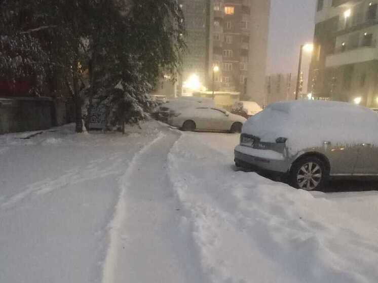 Циклон принесет в Новосибирскую область снегопады и метели