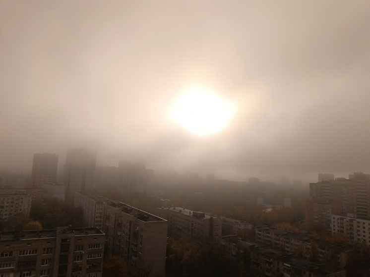 В донском регионе объявлен желтый уровень погодной опасности из-за тумана