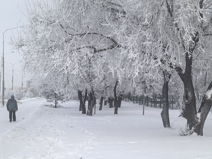 Омичей предупреждают о сильном ветре и снежных заносах на дорогах в выходные