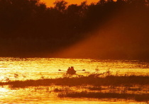 Клинический психолог Марианна Абравитова в беседе с Pravda