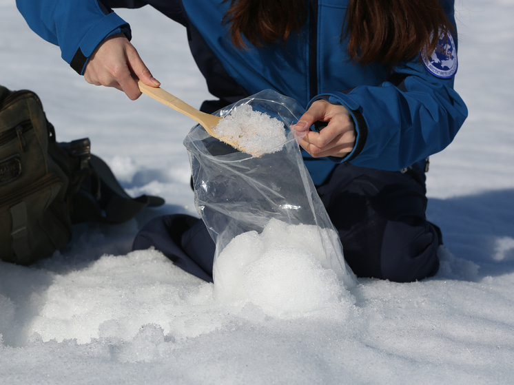 Случайно найденный в Норвегии артефакт рассказал ученым о древней ловушке