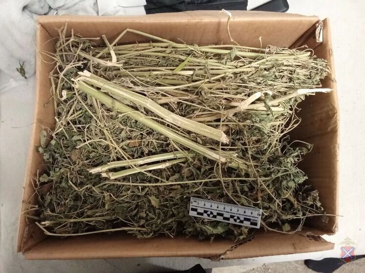 Волгоградцу грозит до 10 лет тюрьмы за хранение наркотиков в крупном размере