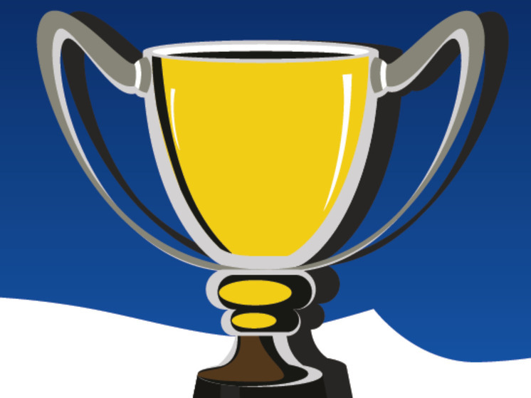 «Серебро» и «бронзу» завоевали спортсмены Артема в турнире по киокусинкай «Долголеты России»