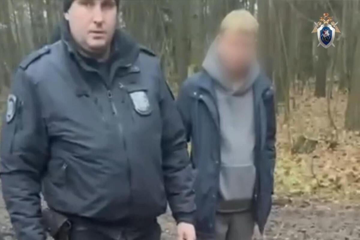 «Будет моей игрушкой»: еще одной из подруг «богородского маньяка» удалось сбежать