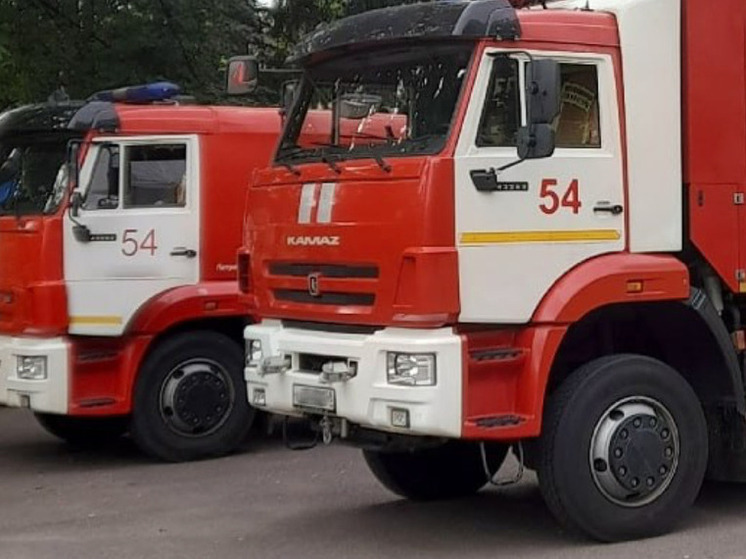 В Кандалакше пожарные эвакуировали человека из пятиэтажки на Борисова