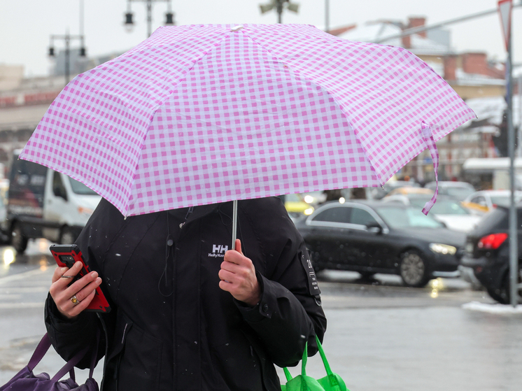 Сафонов: После выходных по Москве ударит циклон