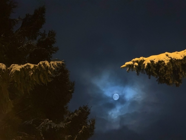 Гиды и краеведы Сахалина объединились в профессиональное сообщество