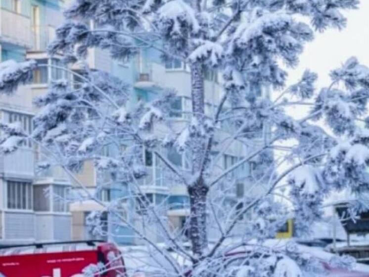 В Новосибирской области составили список лучших мест для зимнего отдыха