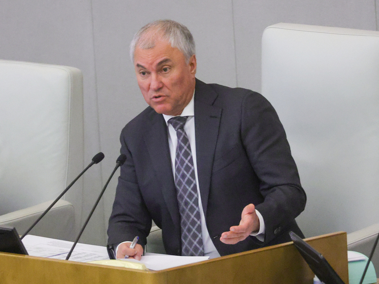 Володин: Нужно ввести ответственность за езду детей на питбайках