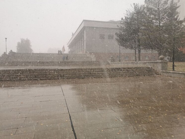 Штормовое предупреждение объявили в Алтайском крае 23 и 24 ноября