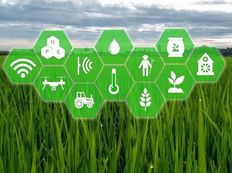 Пензенская область возглавила рейтинг цифровой трансформации АПК