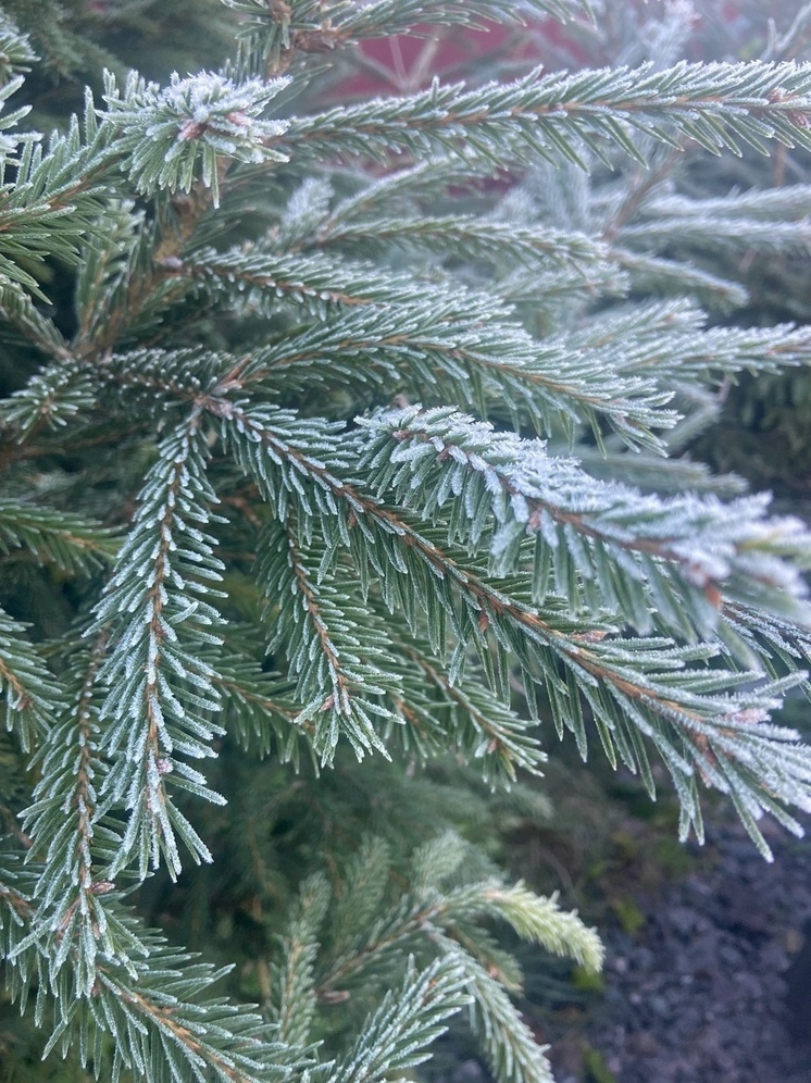 Метеоролог Сафонов: идущий на Москву циклон опасен для метеозависимых людей