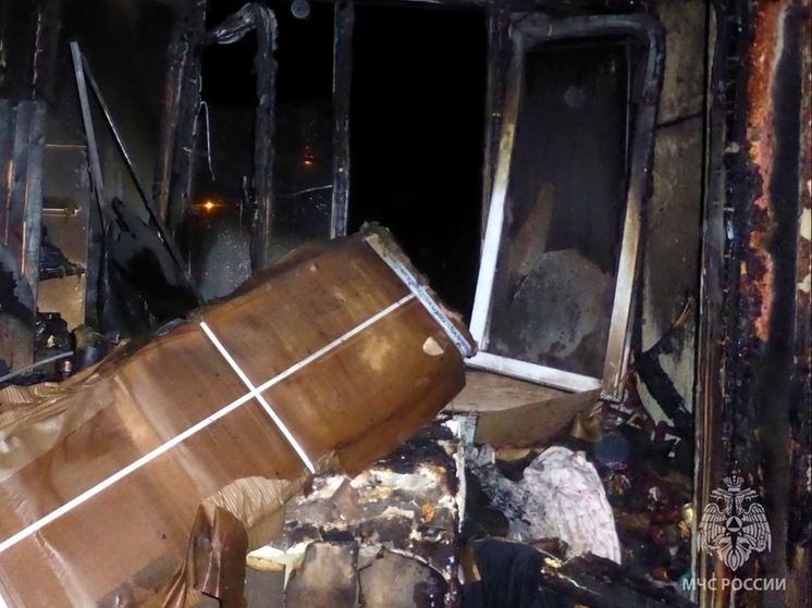 «Детей спасли»: жительница Саранска погибла при пожаре в многоэтажке