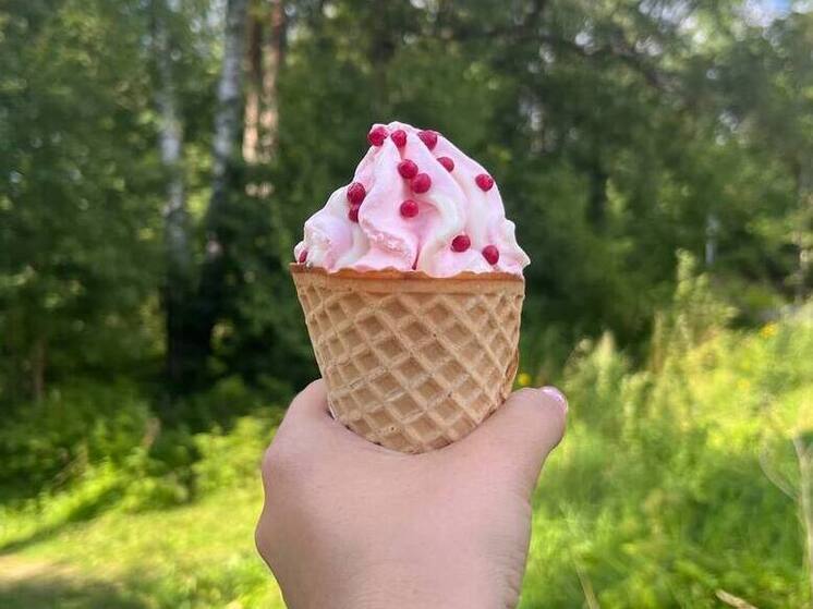 Китайцам предложили попробовать новгородское мороженое