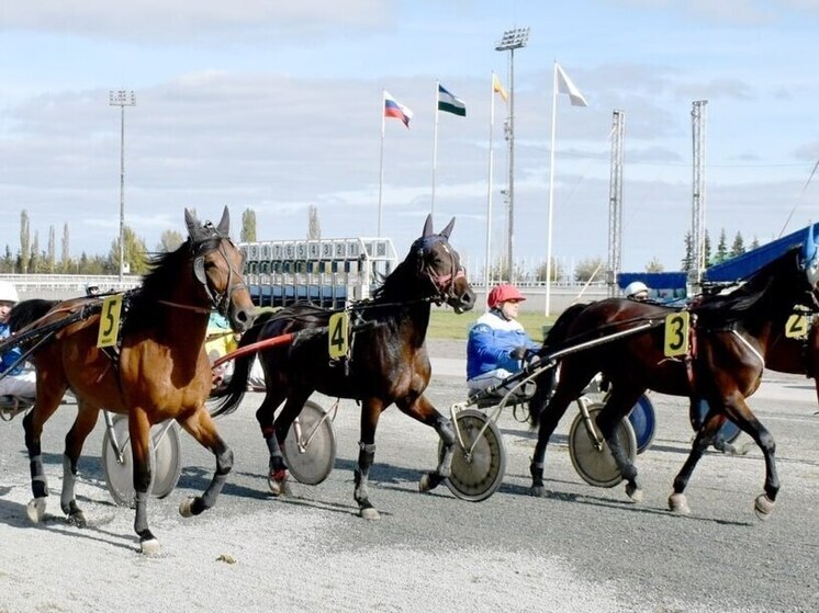 В Уфе пройдут конные скачки