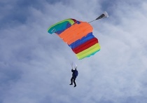 Архангельская область вошла в число лидеров среди российских регионов по скорости ликвидации лесных пожаров