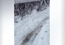    Противодроновые заграждения, построенные вдоль украинских дорог в Херсонской области, устроили коллапс на автострадах