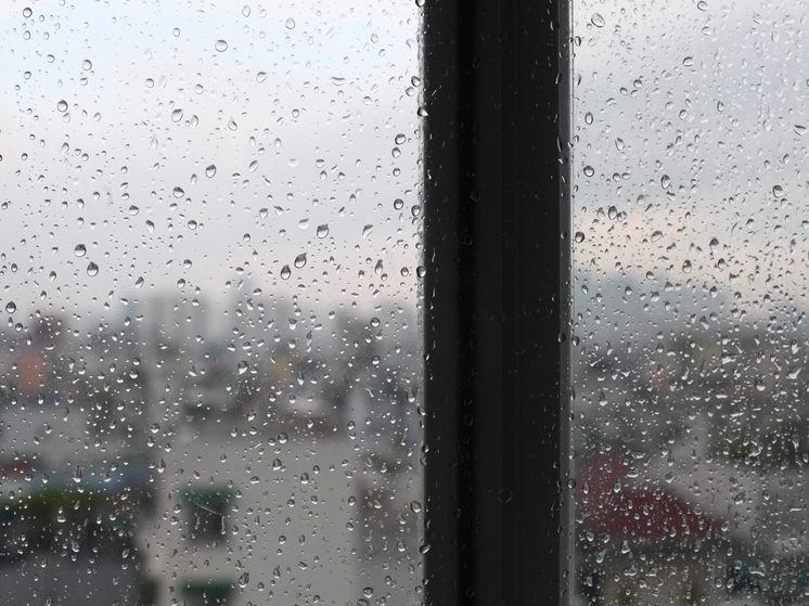 23 ноября брянцам синоптики обещают мокрый снег, дождь и туман