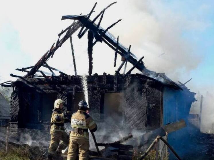 Огонь полностью уничтожил дом в Новгородском округе