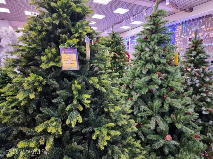 Дизайнер из Карелии дал советы, на что обратить внимание при выборе искусственной елки