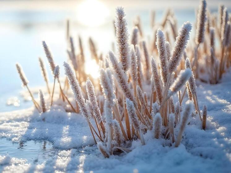 Томичам напомнили об опасности выхода на тонкий лёд