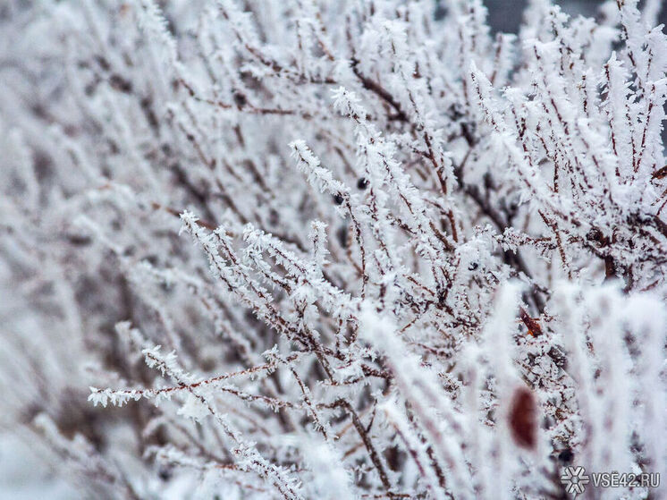 Мощный холодный фронт придёт в Кузбасс в воскресенье 23 ноября