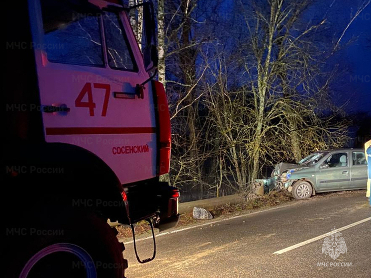 Под Козельском Renault Symbol  врезался в опору электростолба: есть пострадавшие