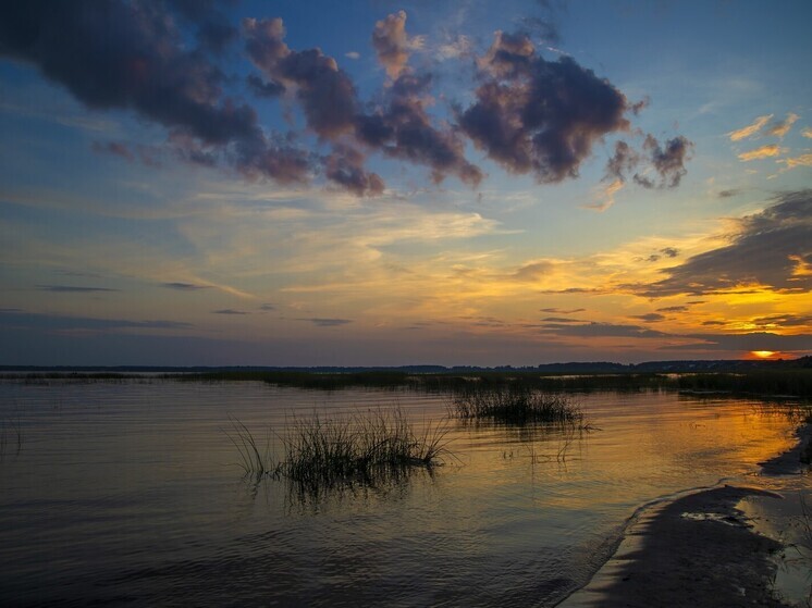 Жителя Челябинска будут судить за незаконную ловлю раков на озере Смолино