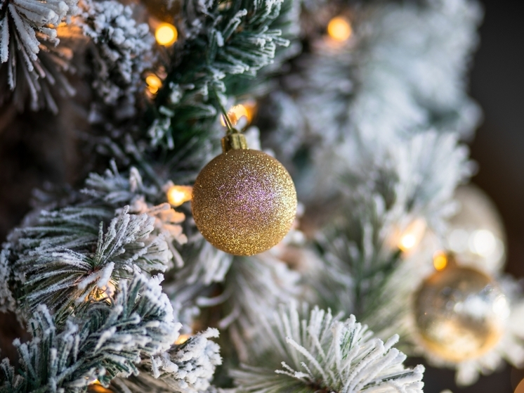 Пензенцам рассказали, как выбрать качественную искусственную елку