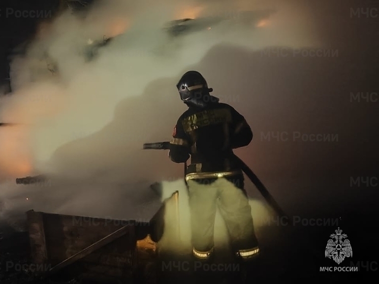 В Орловском округе горел дачный дом в СНТ «Дубрава»