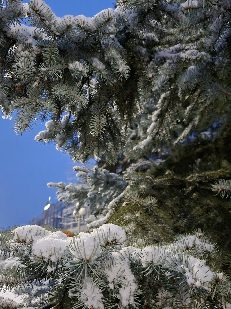 Как в старину прогнозировали зиму по приметам 23 ноября