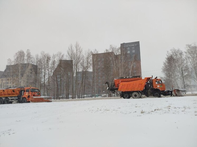 Администрация Новосибирска проведет масштабную проверку уборки улиц в трех районах