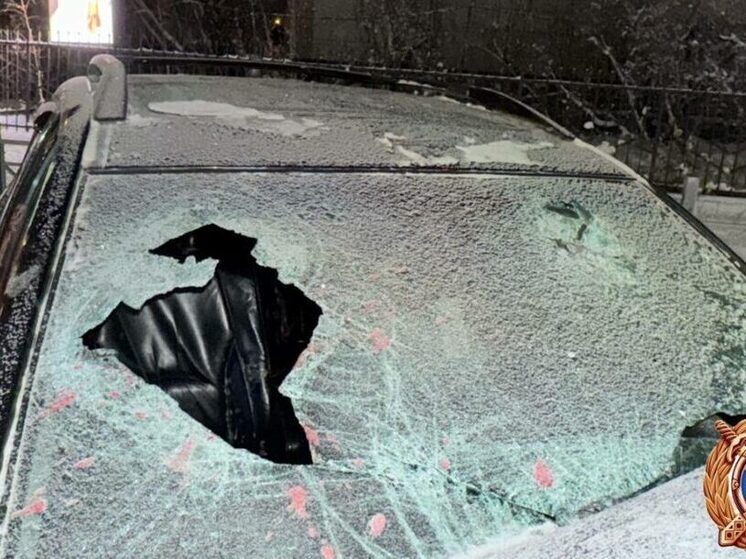 ДТП в Якутске: Lexus столкнулся со снегоуборочной машиной, есть пострадавшие