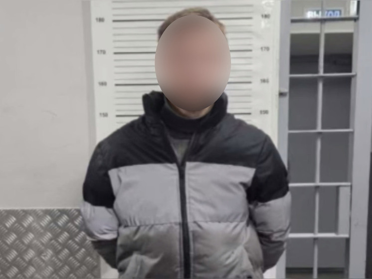 Проныра украл пакет с документами и деньгами у старушки в Петербурге