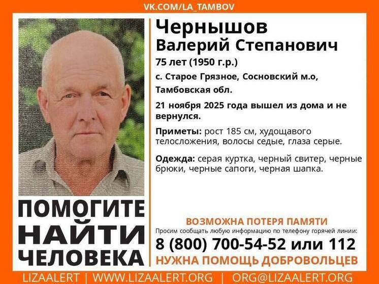 Житель Старого Грязного пропал без вести: в области ищут 75-летнего Валерия Чернышова