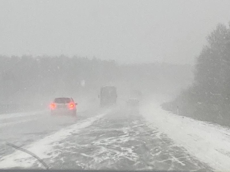 Денис Паслер призвал свердловчан отложить дальние поездки