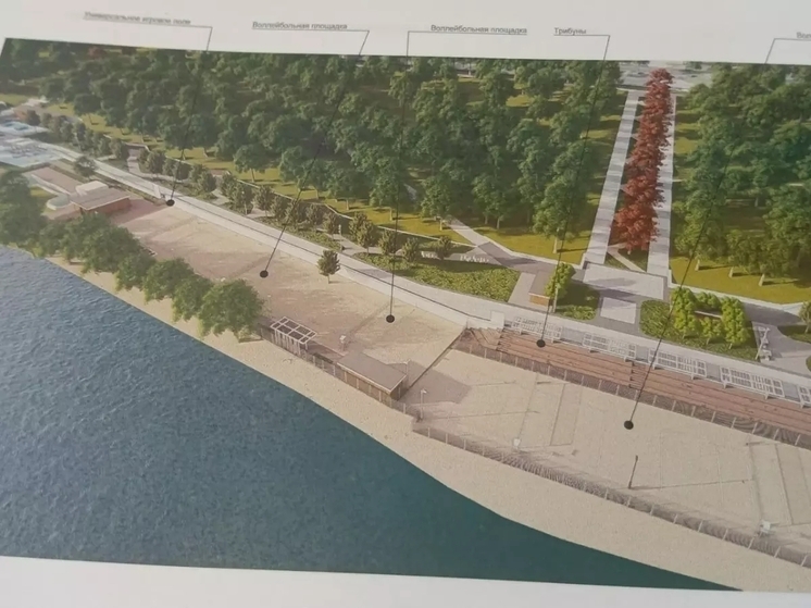 В парке «Дружба» Ростова планируют снести более 300 деревьев