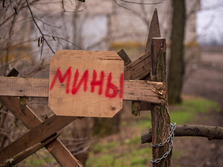 Жителей Кременского округа предупредили о рисках посещения лесов из-за мин и растяжек