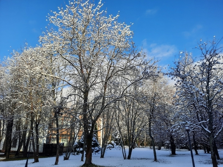 В Курске подготовили три специализированные площадки для утилизации снега