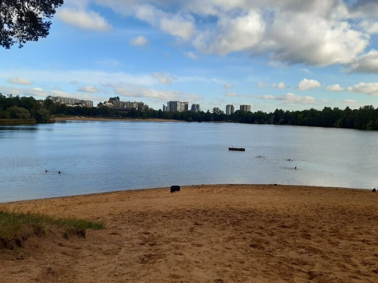 В водоёмах Петербурга нашли самокаты и книги