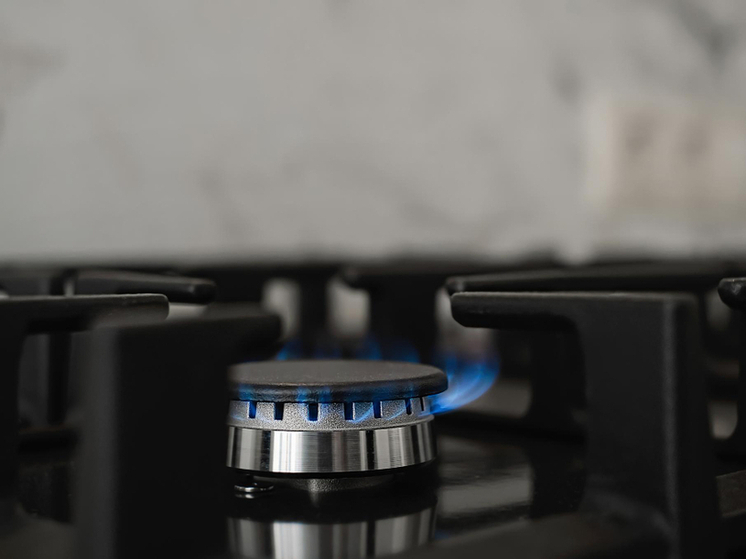 Соцподдержка по газификации: тамбовчанам продлили сроки на подключение и оформление компенсации